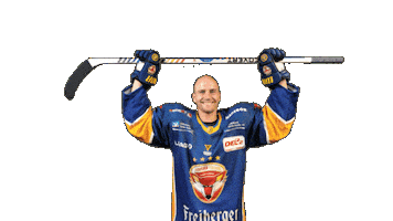 Valentin Celebrate Sticker by Lausitzer Füchse