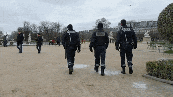 Paris Police GIF by N0va