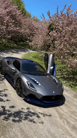 7designhouseinc GIF