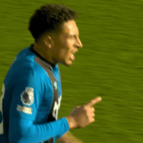 Confused Premier League GIF by AFC Bournemouth