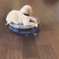 Robotic Vacuum Cleaner Gifs Get The Best Gif On Giphy