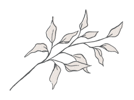 Varnish Lane Sticker