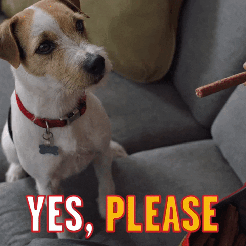 Yes Please Want GIF by Pup-Peroni®