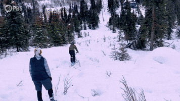Winter Sports Snow GIF by PBS Digital Studios
