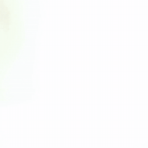 GIESSWEIN GIF