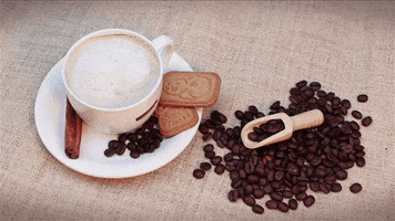 Canchacafe GIF