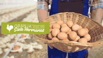 Granja 7 Hermanos GIF