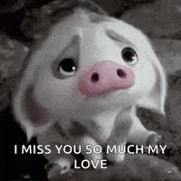 You Are So Special My Baby Gifs Get The Best Gif On Giphy You Are So Special My Baby Gifs Get The Best Gif On Giphy