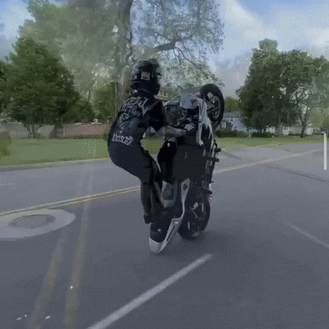 Drop It Back GIF by Onlywheelies