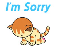 Sorry-kitten GIFs - Get the best GIF on GIPHY
