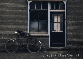 Prank Dutch GIF by Brabant in Beelden