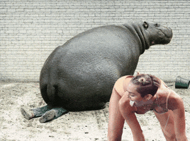 200_s.gif