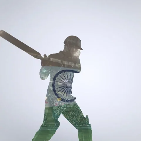 Cricket World Cup India GIF