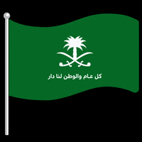 Abu Dhabi Flag GIF by FIND SALT