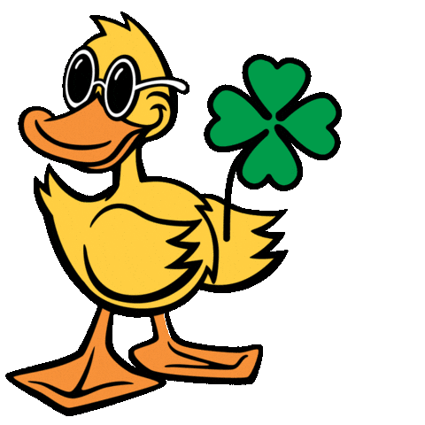 Car Wash Duck Sticker by Quick Quack