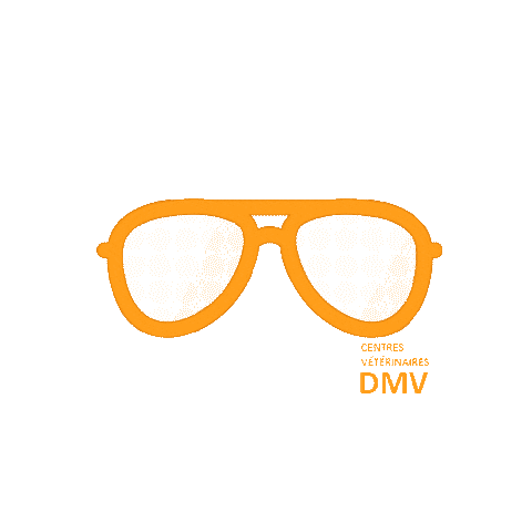 Centres Vétérinaires DMV Sticker