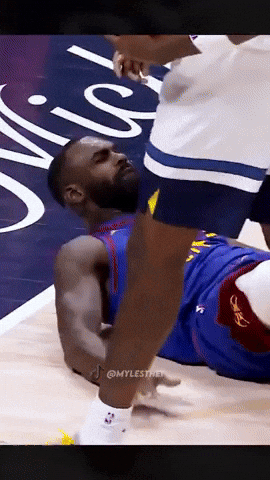 Tim Hardaway Jr Nba GIF