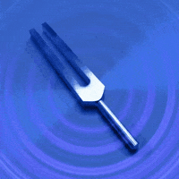 Forks GIFs