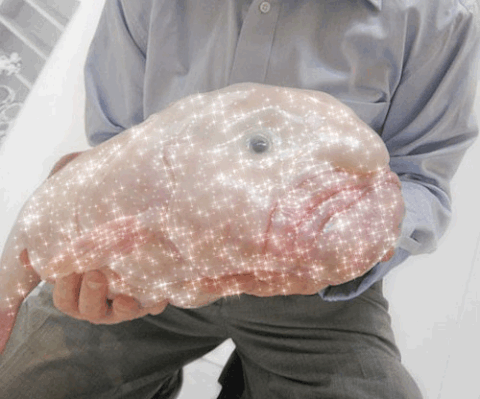 blob
