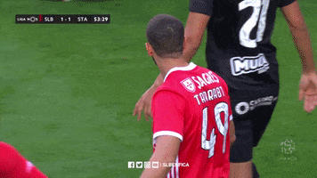 Angry Sl Benfica GIF by Sport Lisboa e Benfica