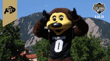 College Sports Colorado GIF by College Colors Day