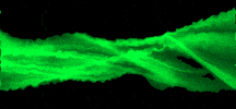 GIF by Splitbeam