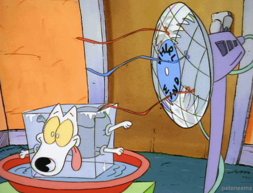Hot Rockos Modern Life GIF - Find & Share on GIPHY