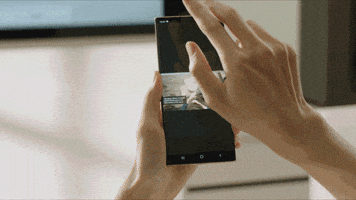Revu GIF
