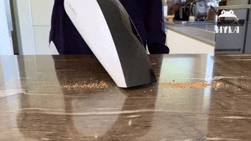 HYLA International GIF