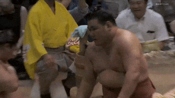 Sumo GIF