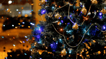 Christmas GIF