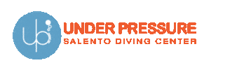 Scuba Immersioni Sticker by upsalentodiving