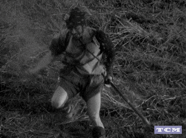 Akira Kurosawa Samurai Movie GIF by Turner Classic Movies