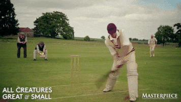 Home Run Oops GIF by MASTERPIECE | PBS