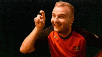 vvnieuwerkerk GIF