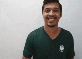 Grupo Primavera GIF