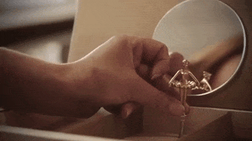 Ballerina GIF by Josefinas