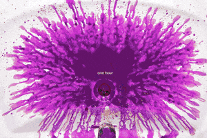Love GIF