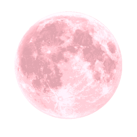 Full Moon Sticker by KT