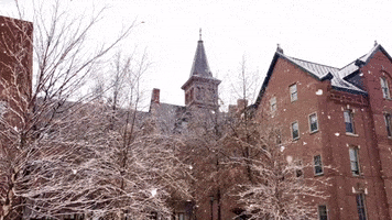 Snow Winter GIF by University of Vermont