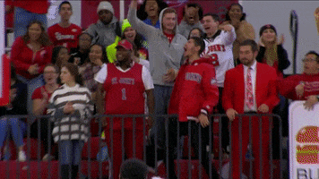 St Johns GIF by St. John's Red Storm