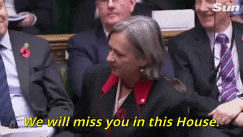 parliament liz saville-roberts we will miss you in this house GIF
