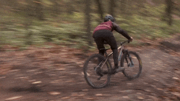 Steel City Media GIF