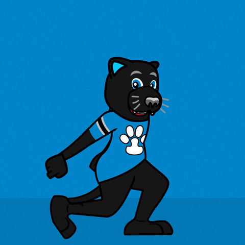 Carolina Panthers Dance GIF