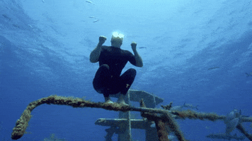 Steve Backshall Free Diving GIF by Sky