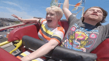 Roller Coaster GIF by The Gregory Brothers