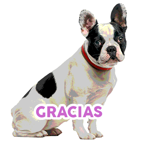 VetClinic Veterinaria Sticker