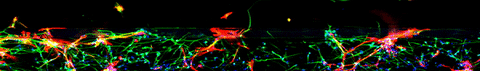 Science GIF