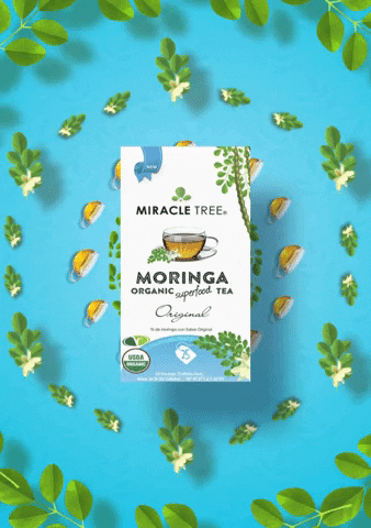 Miracle Tree GIF