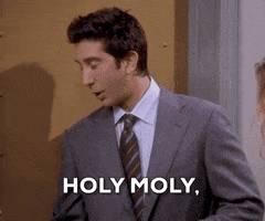 Episode 5 Ross GIF by Friends